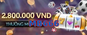 MB666