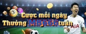 MB666